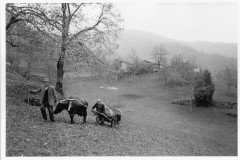 Agosti-06
