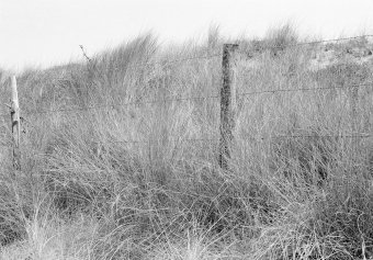 Bretagne #6