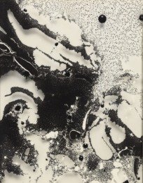 BEATRICE PEDICONI