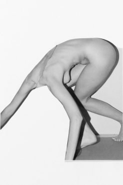 Untitled 2021 from the series The body is a revelation as is landscape Collage inkjet print on Fabriano rough 200 gsm paper, tulipier wood frame with museum glass 32 x 42 cm circa Unicum